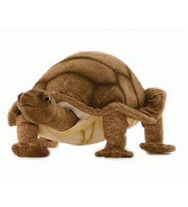 Hansa Toys Turtle, Adult
