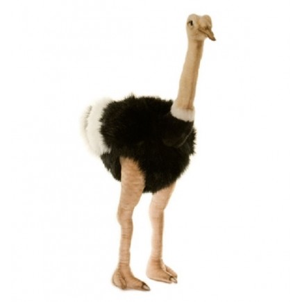 Hansa Toys Male Ostrich
