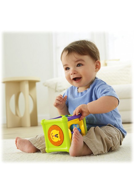 Fisher Price Growing Baby Animal Activity Cube